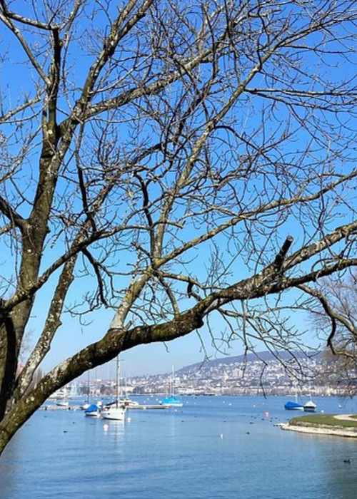 Best Switzerland Places-strandbad mythenquai